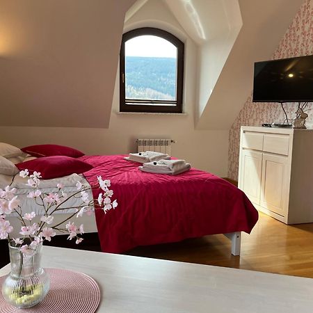 Apartamety I Pokoje Goscinne Na Jaskolczej Сверадув-Здруй Экстерьер фото