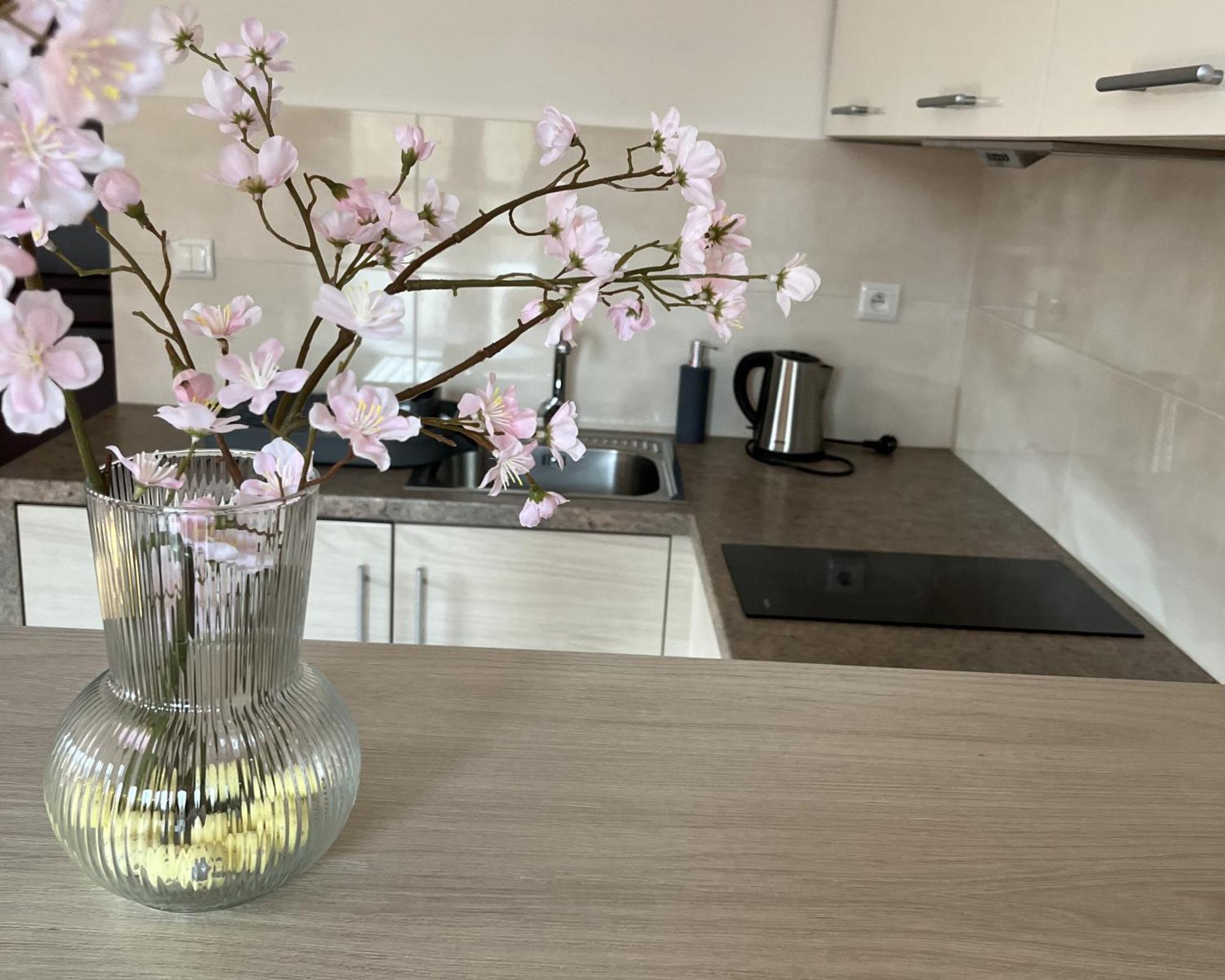 Apartamety I Pokoje Goscinne Na Jaskolczej Сверадув-Здруй Экстерьер фото