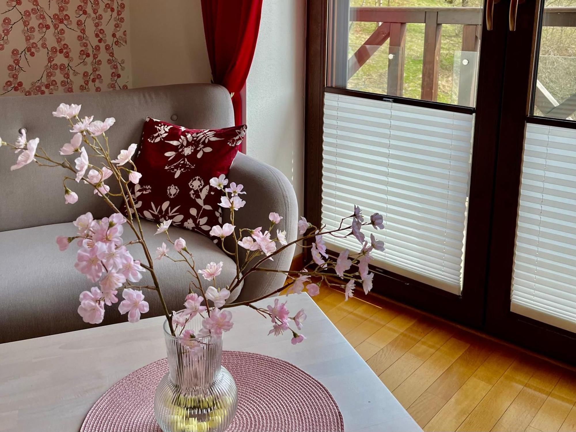 Apartamety I Pokoje Goscinne Na Jaskolczej Сверадув-Здруй Экстерьер фото
